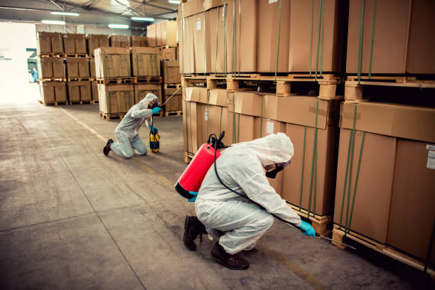 Best Pest Control Near Me  in Rocky Mount, VA
