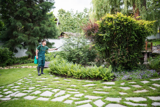 Best Residential Pest Control  in Rocky Mount, VA