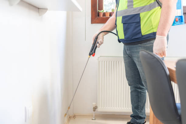 Trusted Rocky Mount, VA Pest Control Experts