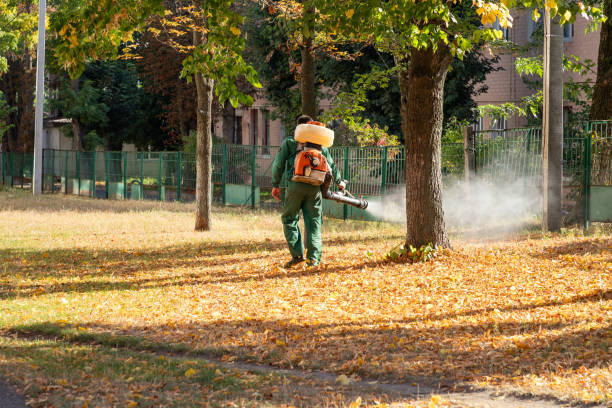 Best Rodent Control Near Me  in Rocky Mount, VA