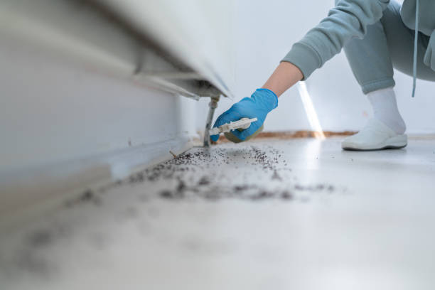 Best Commercial Pest Control Services  in Rocky Mount, VA